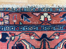 Load image into Gallery viewer, Goli