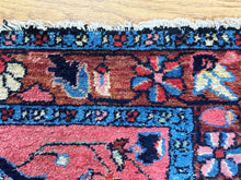 Load image into Gallery viewer, Goli