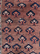 Load image into Gallery viewer, Mina