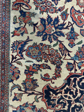 Load image into Gallery viewer, Sepideh