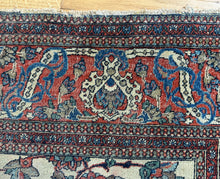 Load image into Gallery viewer, Sepideh