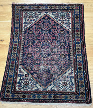 Load image into Gallery viewer, Ila