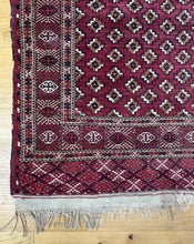 Load image into Gallery viewer, Noor