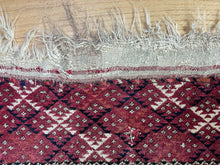 Load image into Gallery viewer, Noor