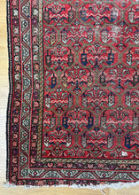 Load image into Gallery viewer, Koorush