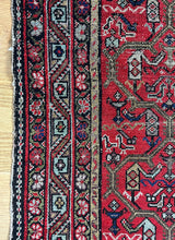 Load image into Gallery viewer, Koorush