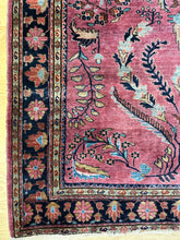 Load image into Gallery viewer, Jannat