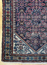 Load image into Gallery viewer, Ila