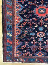 Load image into Gallery viewer, Abel