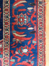 Load image into Gallery viewer, Parvin