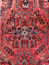 Load image into Gallery viewer, Babak