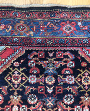 Load image into Gallery viewer, Anahita