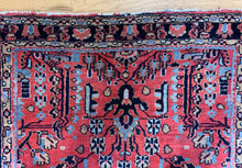 Load image into Gallery viewer, Babak