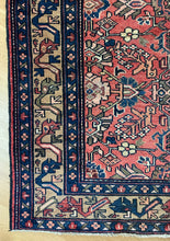 Load image into Gallery viewer, Morvarid