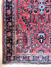 Load image into Gallery viewer, Babak