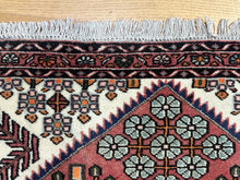 Load image into Gallery viewer, Arash
