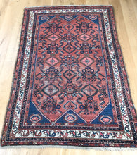 Load image into Gallery viewer, Laleh
