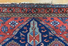 Load image into Gallery viewer, Nima
