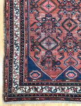 Load image into Gallery viewer, Laleh
