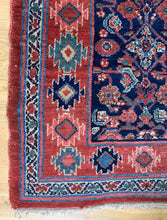 Load image into Gallery viewer, Sima
